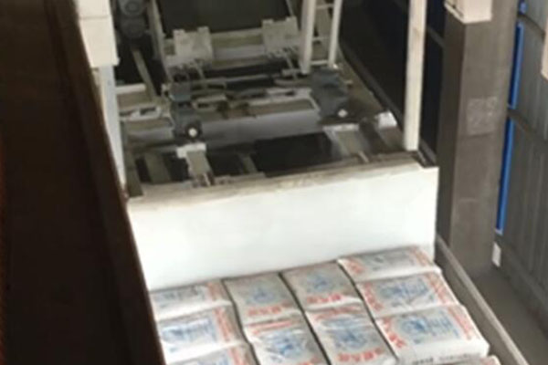 袋裝水泥全自動裝車機(jī)